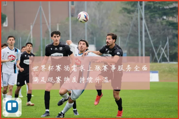 世界杯赛场需求上涨赛事服务全面满足观赛热度持续升温