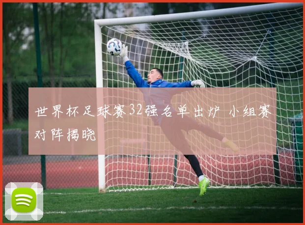 世界杯足球赛32强名单出炉 小组赛对阵揭晓