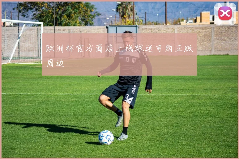 欧洲杯官方商店上线球迷可购正版周边