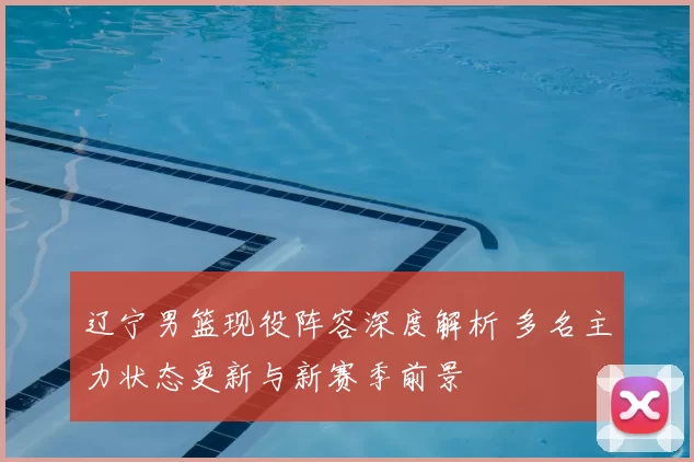 辽宁男篮现役阵容深度解析 多名主力状态更新与新赛季前景