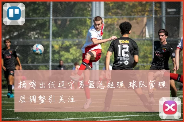 杨鸣出任辽宁男篮总经理 球队管理层调整引关注