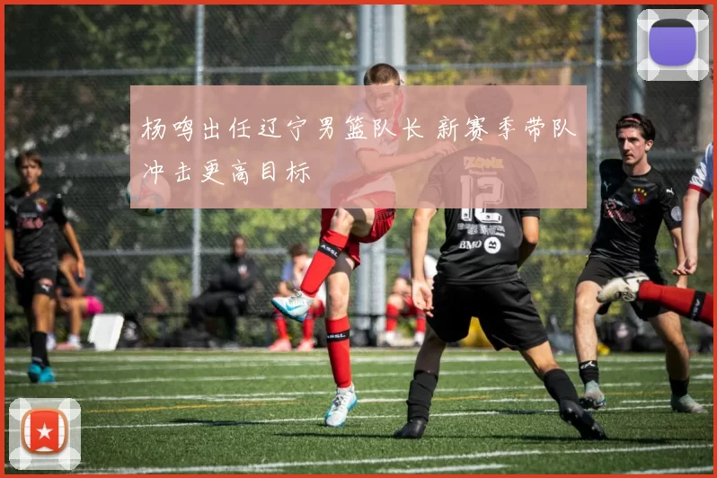 杨鸣出任辽宁男篮队长 新赛季带队冲击更高目标
